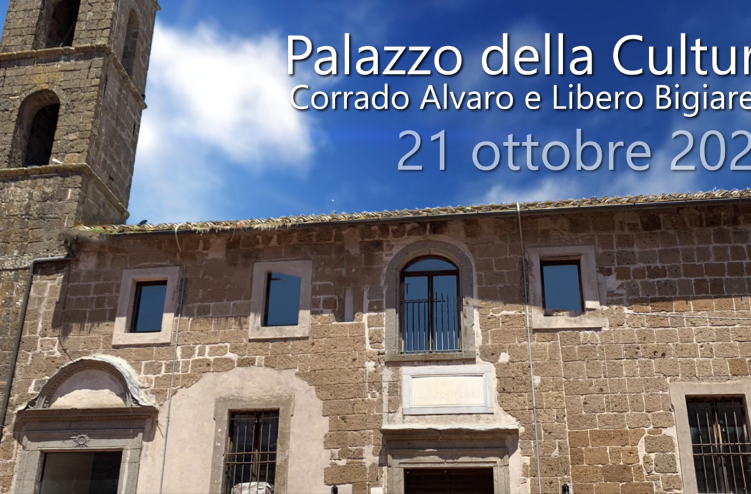 progetto di traduzioni letterarie