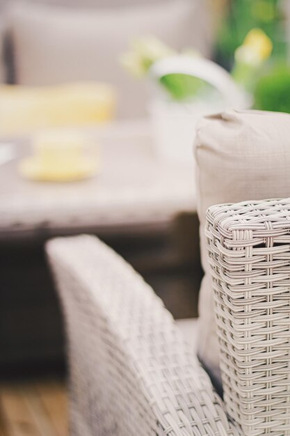 traduzione newsletters